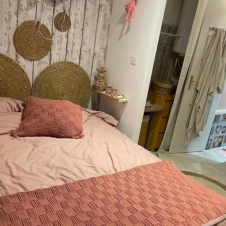 Daire Pretty Cocoon With Garden Close To The Sea