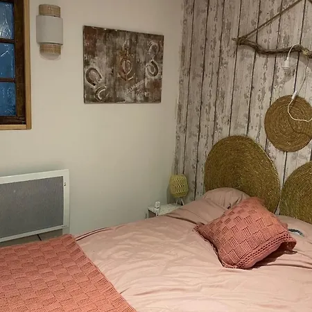 Daire Pretty Cocoon With Garden Close To The Sea Le Grau-du-Roi